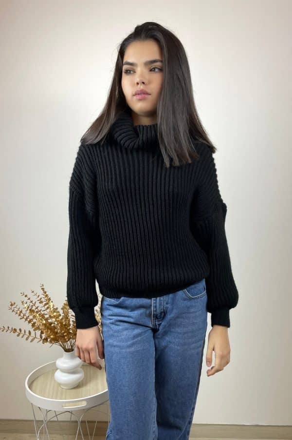 Pull Léna col roulé noir3