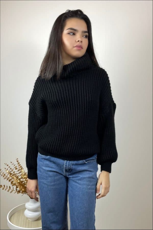 Pull Léna col roulé noir6