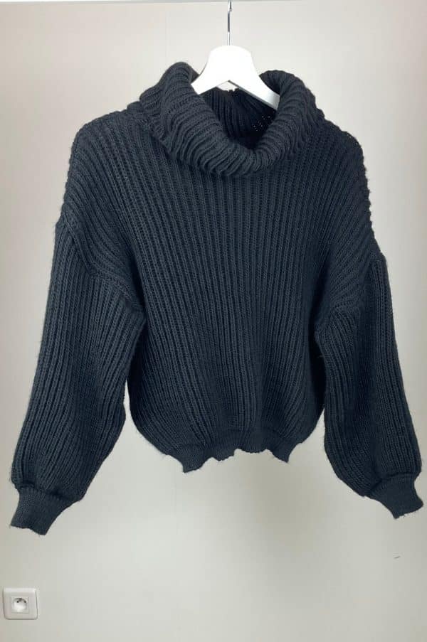 Pull Léna col roulé noir8